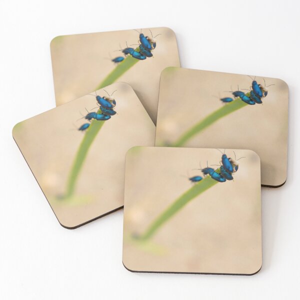 Item preview, Beach Bugs  designed and sold by Nalinne Jones.