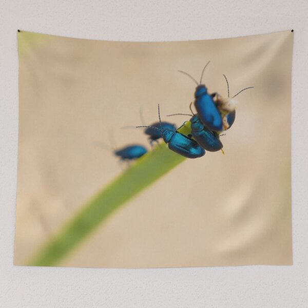Item preview, Beach Bugs  designed and sold by Nalinne Jones.