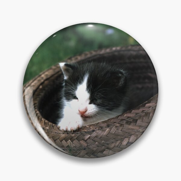 Item preview, Cat Robby with a hat designed and sold by Gourmetkater.
