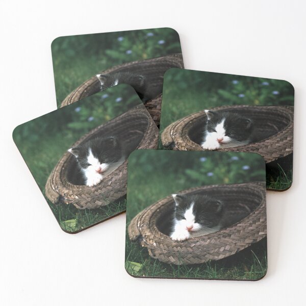 Item preview, Cat Robby with a hat designed and sold by Gourmetkater.
