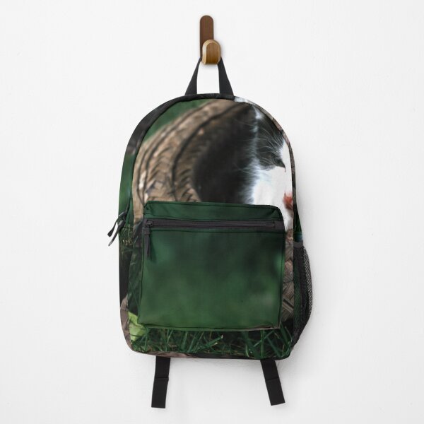 Item preview, Cat Robby with a hat designed and sold by Gourmetkater.