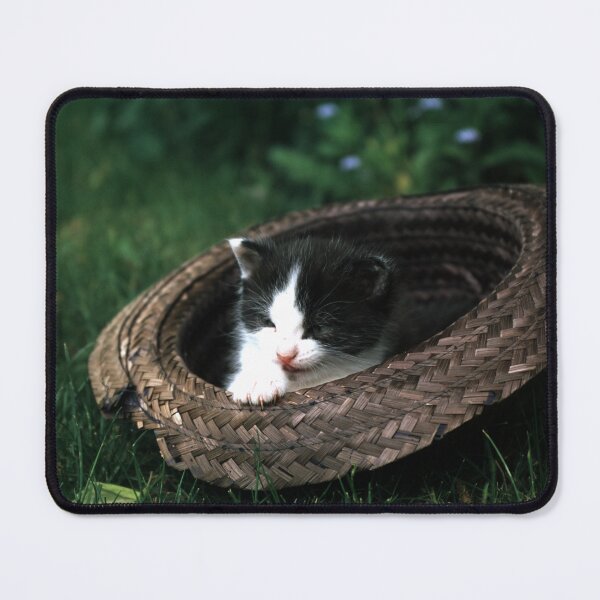 Item preview, Cat Robby with a hat designed and sold by Gourmetkater.