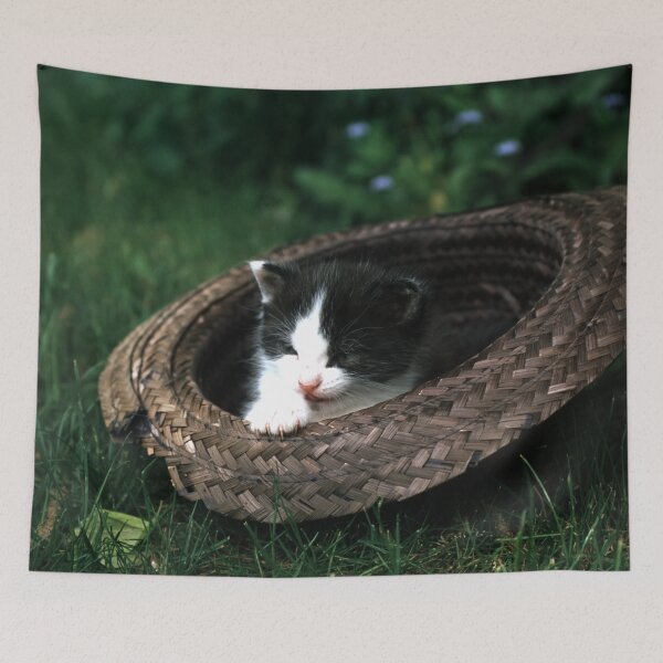 Item preview, Cat Robby with a hat designed and sold by Gourmetkater.