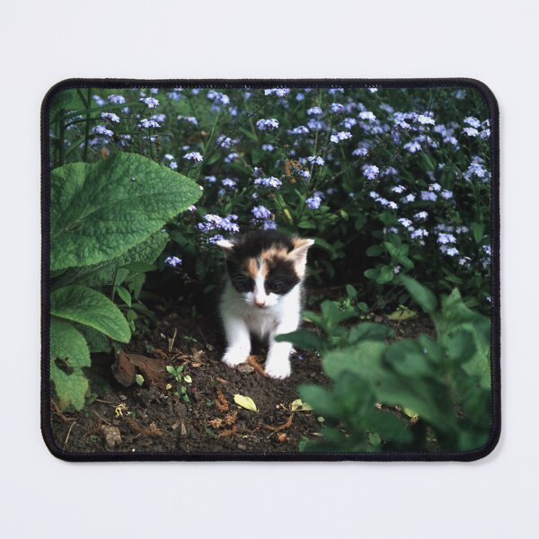 Item preview, The little cat Amy designed and sold by Gourmetkater.