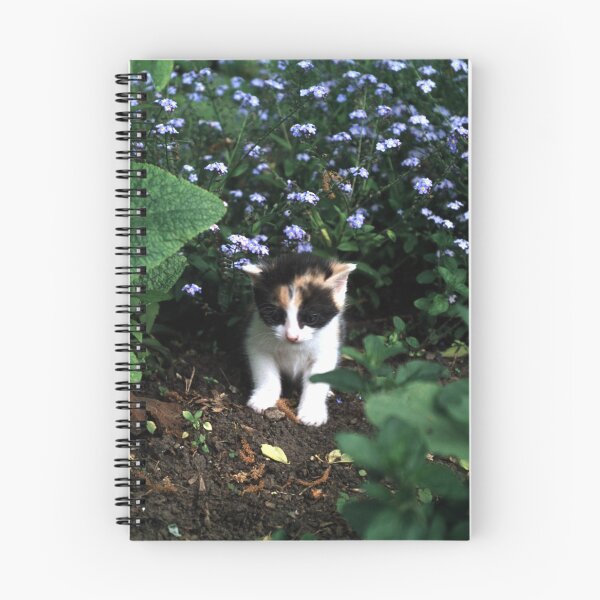 Item preview, The little cat Amy designed and sold by Gourmetkater.