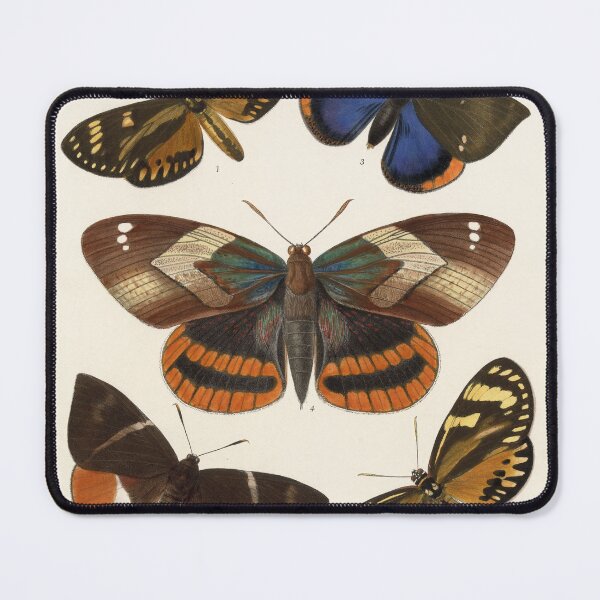 Item preview, Vintage Butterflies Painting Wall Art | Nature | High Resolution | Restored Art designed and sold by archerfield.