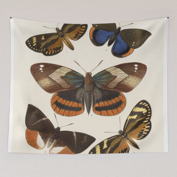 Item preview, Vintage Butterflies Painting Wall Art | Nature | High Resolution | Restored Art designed and sold by archerfield.