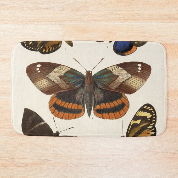 Item preview, Vintage Butterflies Painting Wall Art | Nature | High Resolution | Restored Art designed and sold by archerfield.