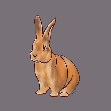 Artwork thumbnail, Rabbit Rabbit by AudreyVdesign