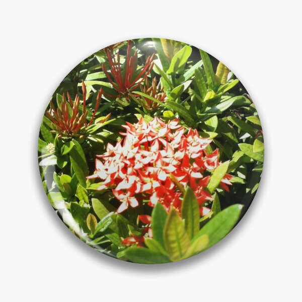 Aperçu de l'œuvre Fleur de l'île créée et vendue par Art of Darian.