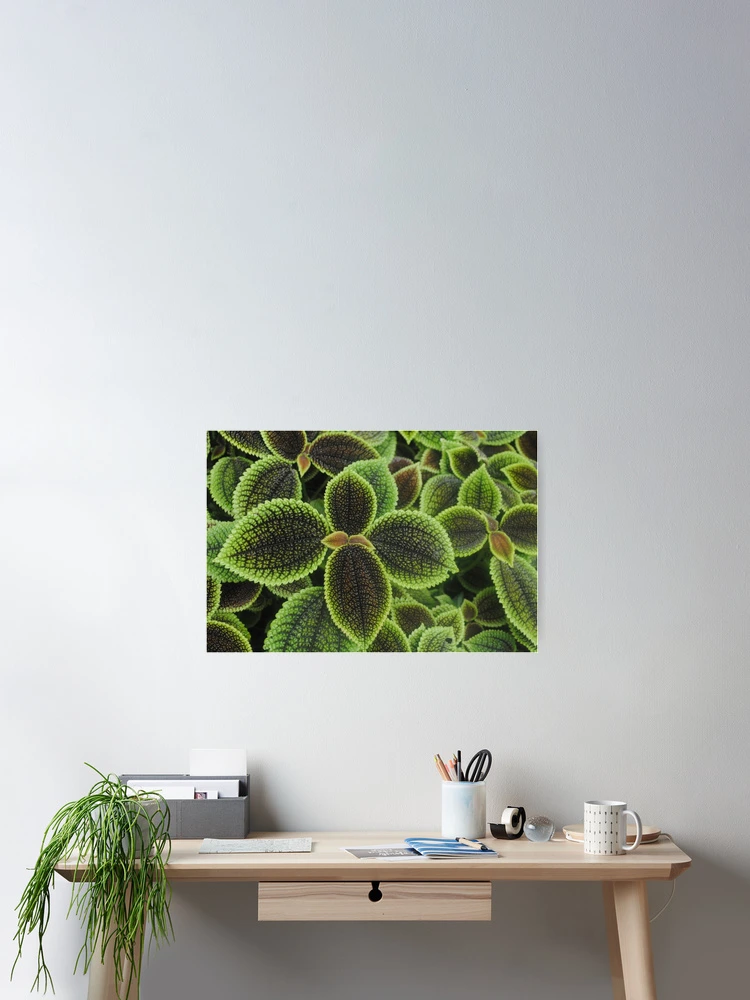Thumbnail 2 of 3, Poster, Green Ric Rac Edging designed and sold by Sandra Fortier.