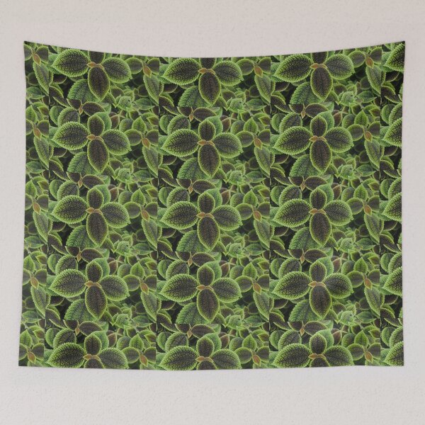 Item preview, Green Ric Rac Edging designed and sold by Sandra Fortier.