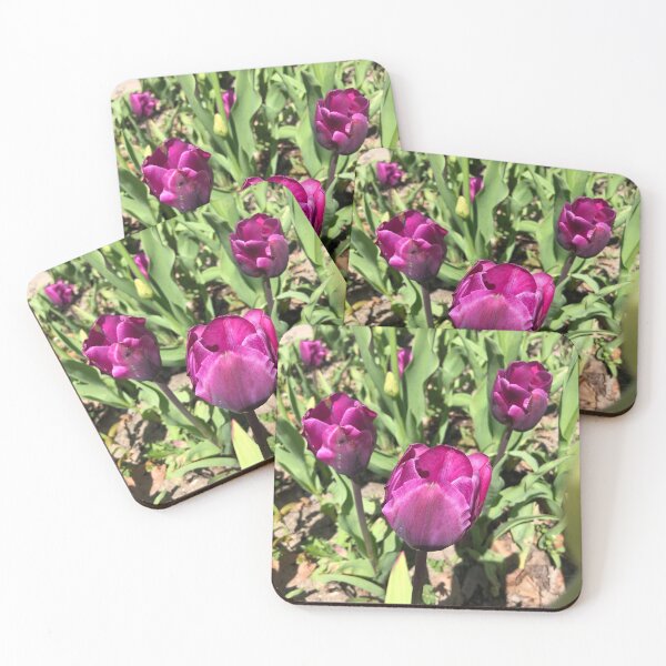 Item preview, Purple Tulips designed and sold by Kimcutsglass.