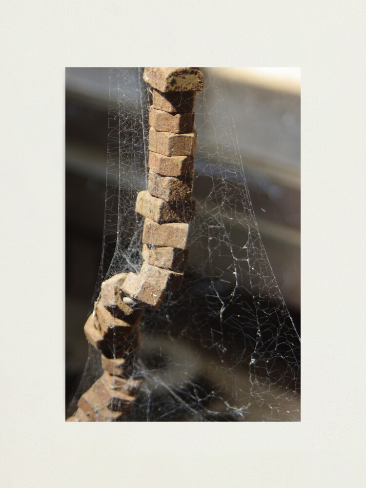 Alternate view of Yarloop VII Photographic Print