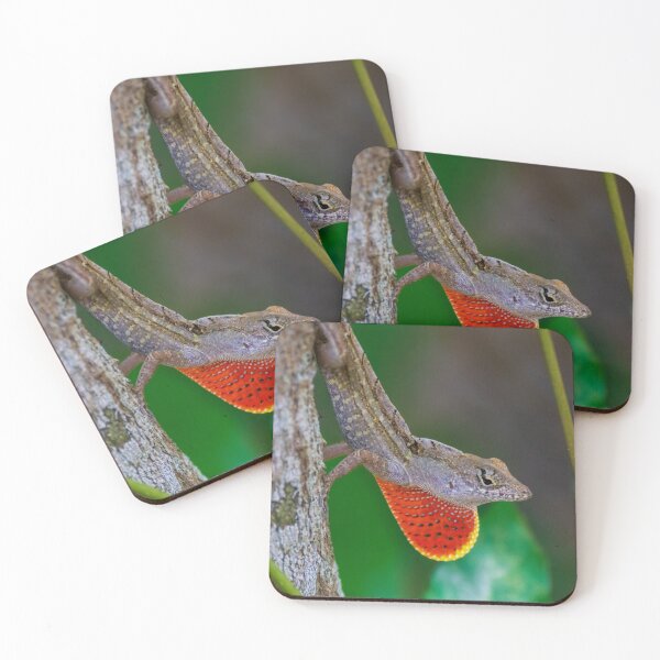Item preview, Anole Lizard Showing Off designed and sold by TinyDinoDesigns.
