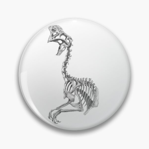 Artikelvorschau, Oviraptor-Skelett entworfen und verkauft von TimeSkiff.