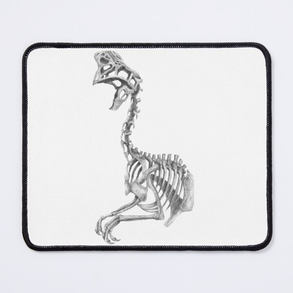 Item preview, Oviraptor skeleton designed and sold by TimeSkiff.