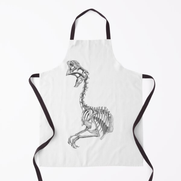 Item preview, Oviraptor skeleton designed and sold by TimeSkiff.
