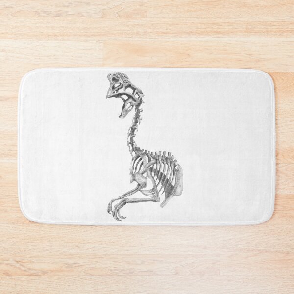 Item preview, Oviraptor skeleton designed and sold by TimeSkiff.
