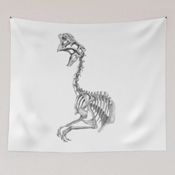 Item preview, Oviraptor skeleton designed and sold by TimeSkiff.
