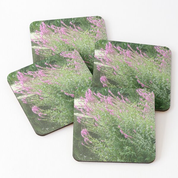 Item preview, Pretty Pink Wildflowers on the Lake Edge Photograph designed and sold by naturegallery.