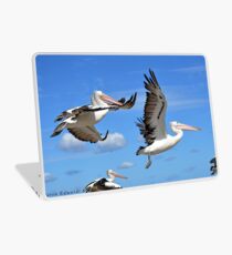 Pelicans Flying Laptop Skin