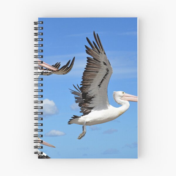 Item preview, Pelicans Flying  designed and sold by Wirey.