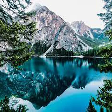 Artwork thumbnail, nature by SQLM