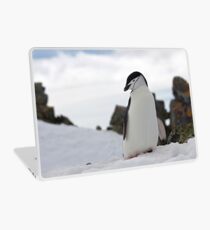 Cute Penguin Laptop Skin