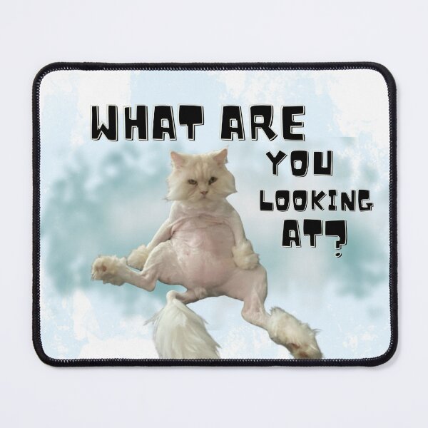Item preview, Ugly Cat What Are You Looking At? Grumpy funny novelty designed and sold by HatzicTshirts.