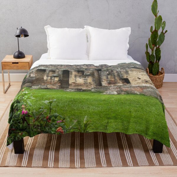 Item preview, Ruins of the Convent of the Capuchins, Antigua, Guatemala  designed and sold by heatherfriedman.