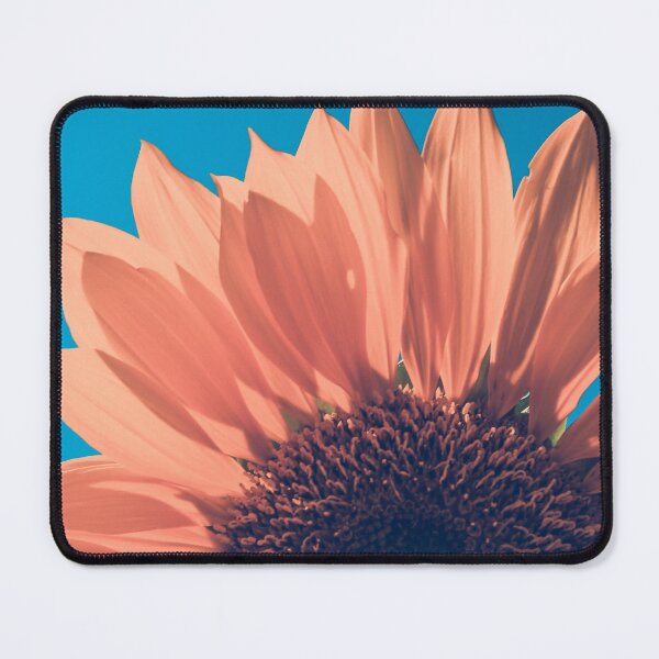 Item preview, Vintage Pink Sunflower Photo designed and sold by BossyCatHome.
