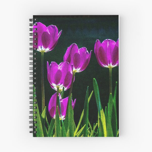 Artikelvorschau, Südwestpurpur-Tulpen entworfen und verkauft von William E Lopez.