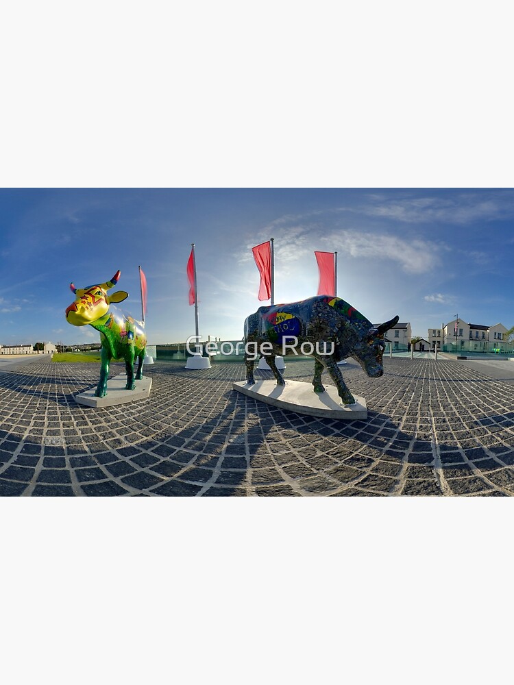 Two Cows on Parade, lower - Ebrington Square, Derry by VeryIreland