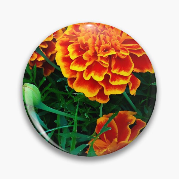Item preview, Flowers, Tagetes designed and sold by Tw1nsAIArt.