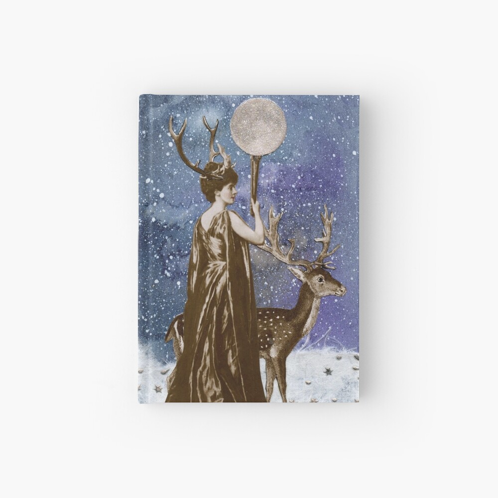 daughter of the moon goddess hardcover
