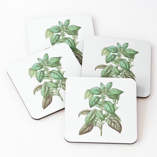 Item preview, Basil drawing digital art print designed and sold by SnarkyCoffee.