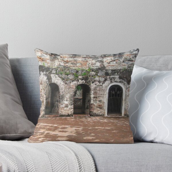Item preview, Doorways of the Convent of the Capuchins ruin, Antigua, Guatemala designed and sold by heatherfriedman.