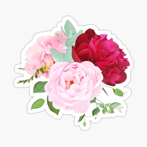 Blooming white and burgundy red peony flower, pink hydrangea, rose Sticker