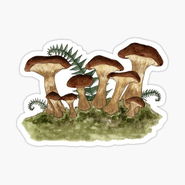 Item preview, mushrooms designed and sold by AmyBrownArt.