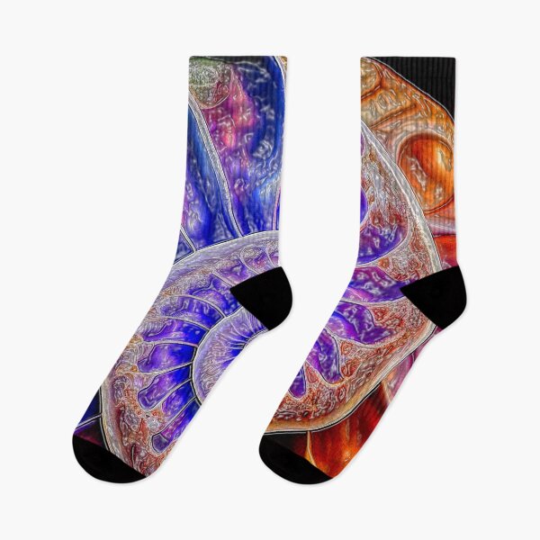 Item preview, Nautilus Shell Fibonacci Spiral Abstract designed and sold by Rocky Mountain Artistry.