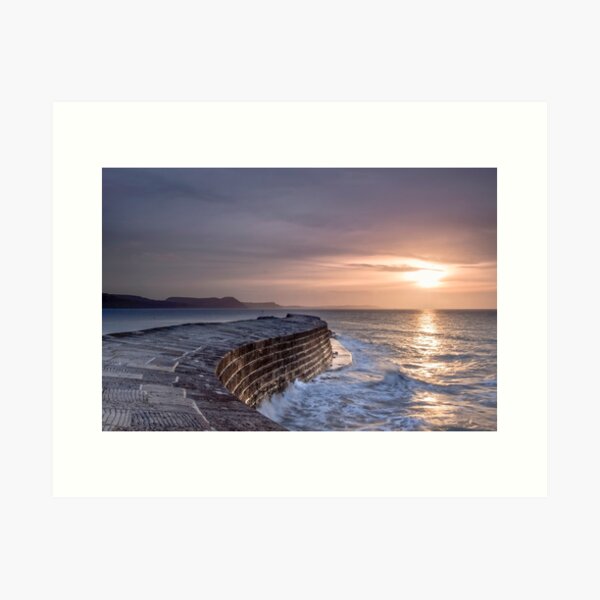 Lyme Regis The Cobb First Light Art Print