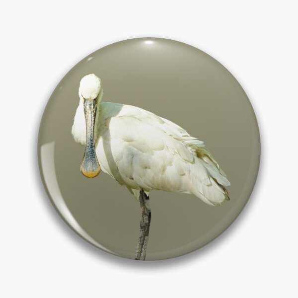 Item preview, Spoonbill Bird designed and sold by RainbowSpinkle.