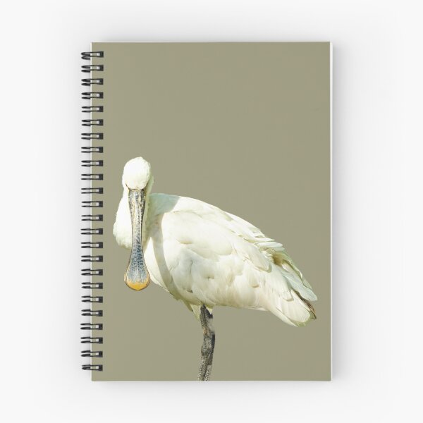 Item preview, Spoonbill Bird designed and sold by RainbowSpinkle.