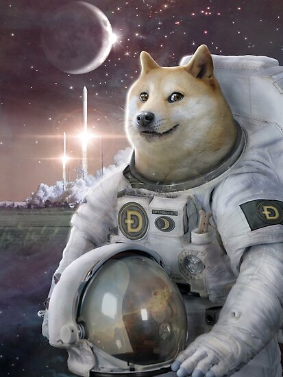 Very Astronaut 2 Poster By Garyck Arntzen