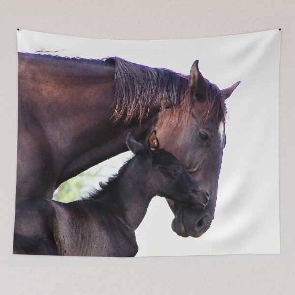 Item preview, Calypso's first day designed and sold by Penny Kittel.