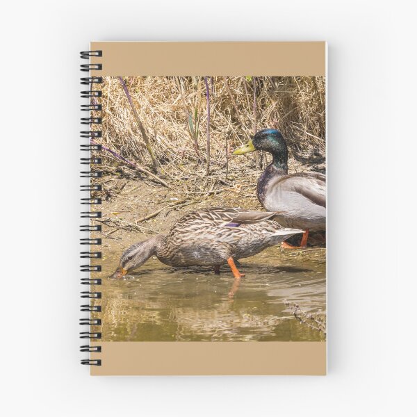 Item preview, Mr. and Mrs. Mallard designed and sold by CarolM.