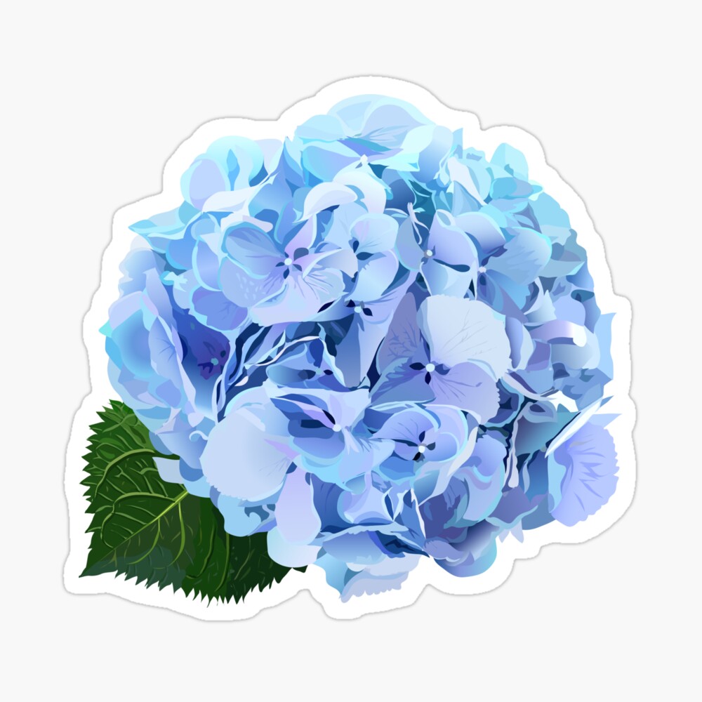  FRODOTGV Blue Green Watercolor Hydrangea Flower Sherpa