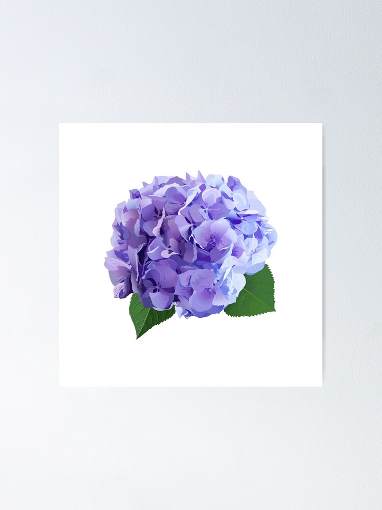 Póster «Conjunto de flores de Hortensia de estilo acuarela.» de  lavendertime | Redbubble