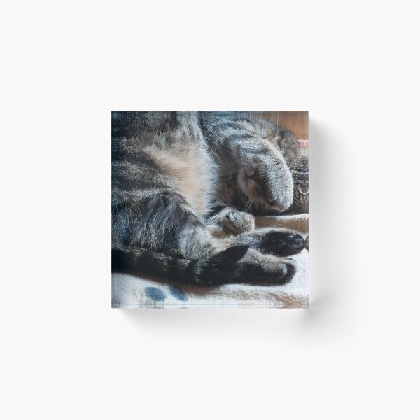 Item preview, tabby cat designed and sold by Francespoppy.
